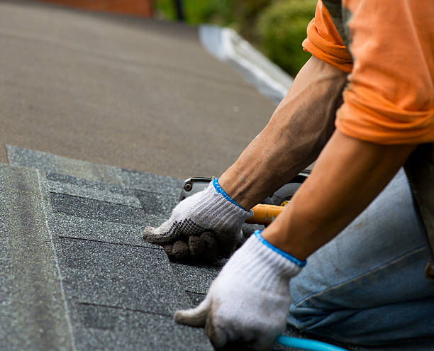Best Roof Gutter Cleaning  in Chain Lake, WA